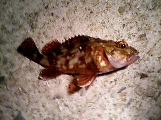 20090715002345.jpg