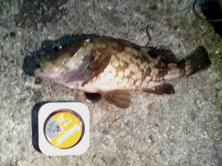 20091013233712.jpg