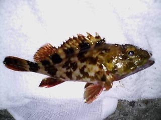 20100119222128.jpg