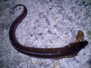 20100406232943.jpg