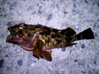 20100407002602.jpg