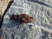 IMG_20121121_093636.jpg