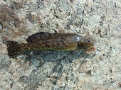IMG_20121121_094901.jpg