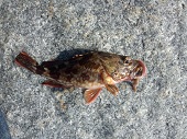 IMG_20121121_102553.jpg