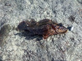 IMG_20121121_114313.jpg