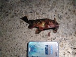 IMG_20180721_232443.jpg