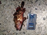 IMG_20180722_000740.jpg