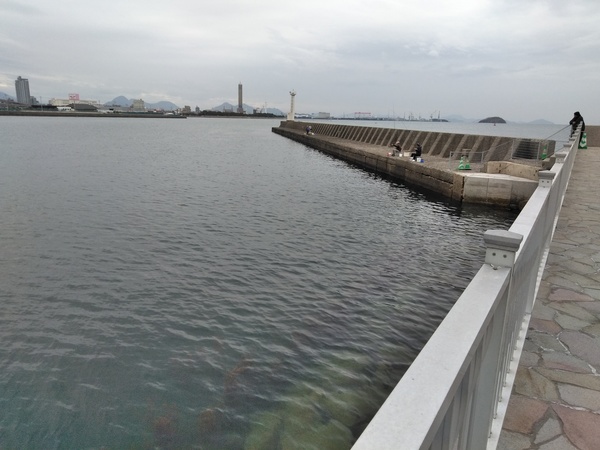 IMG_20190429_092609.jpg